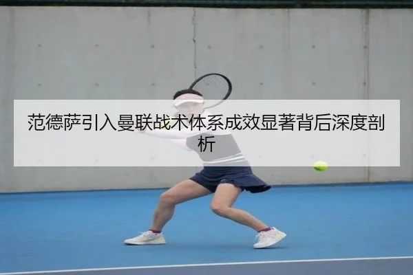 范德萨引入曼联战术体系成效显著背后深度剖析