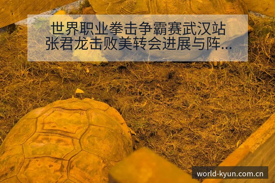 世界职业拳击争霸赛武汉站张君龙击败美转会进展与阵容影响签 - 开云体育